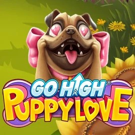Play Go High Puppy Love slot by RubyPlay on vegas-hero.org